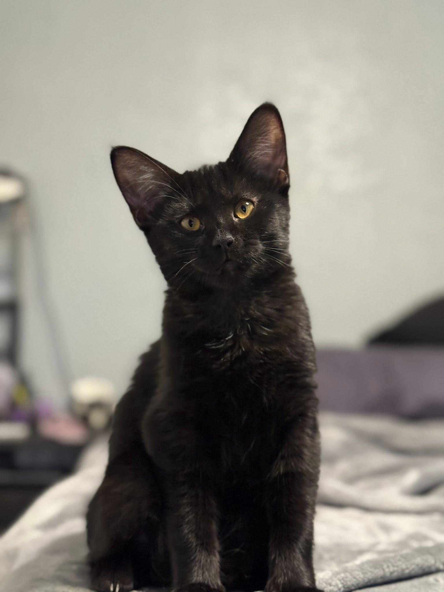 Kiki