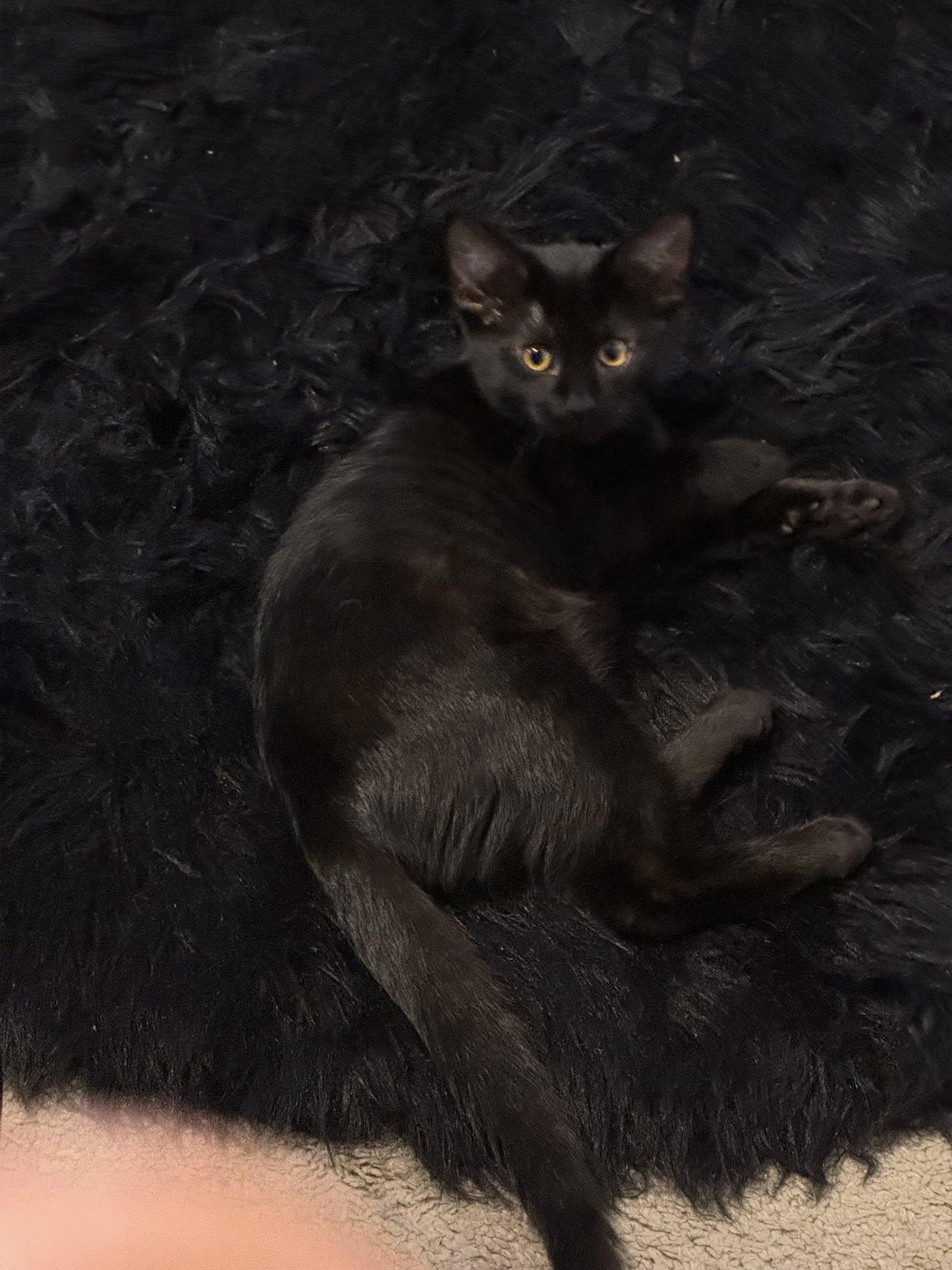 Kiki