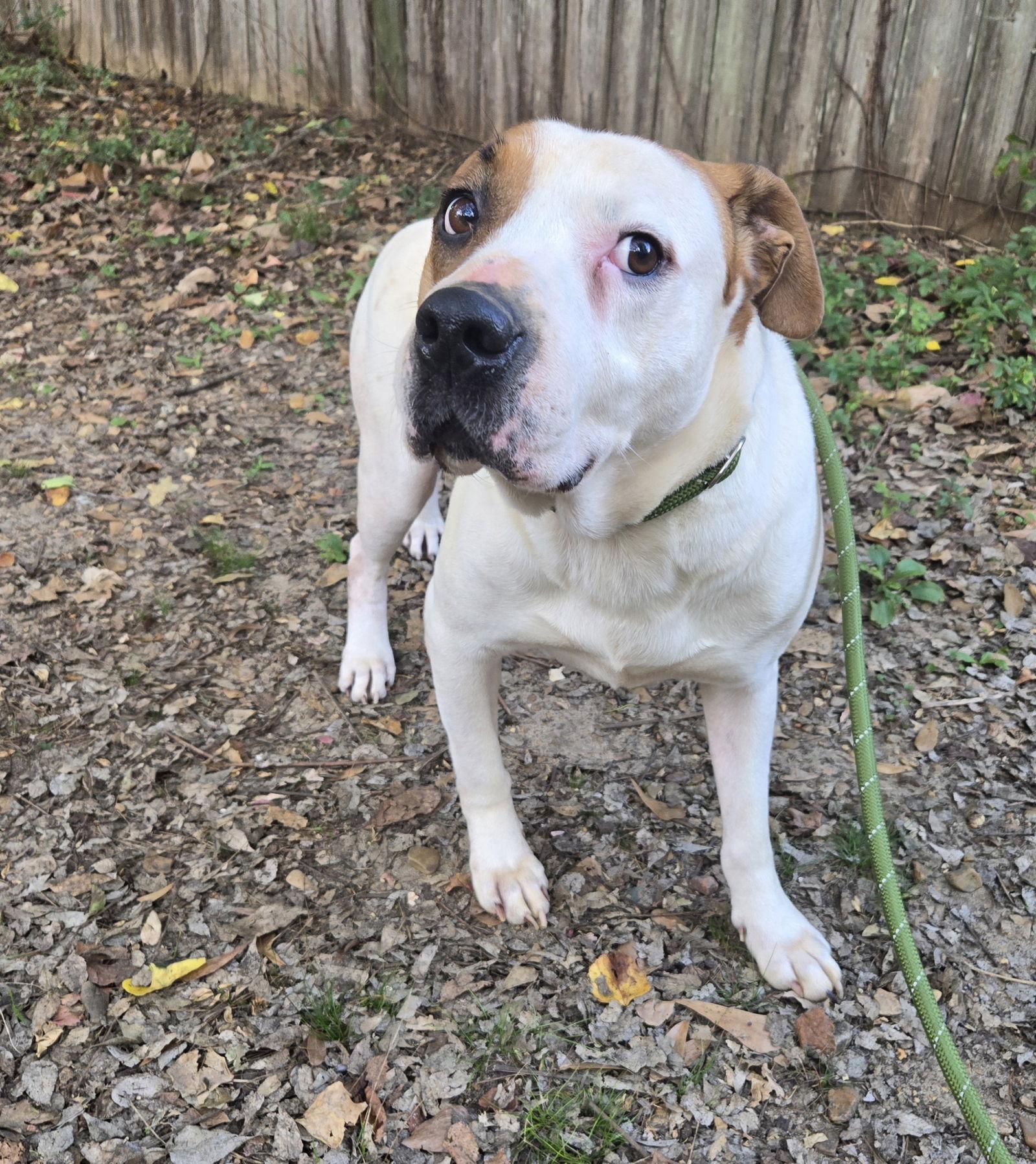 Spuds — thumbnail 2