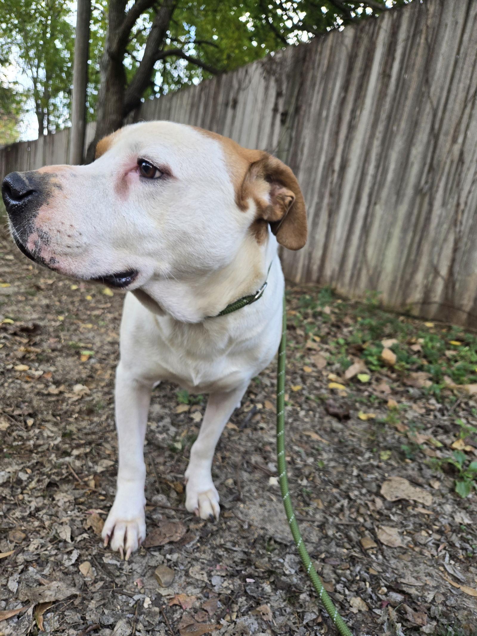 Spuds — thumbnail 3