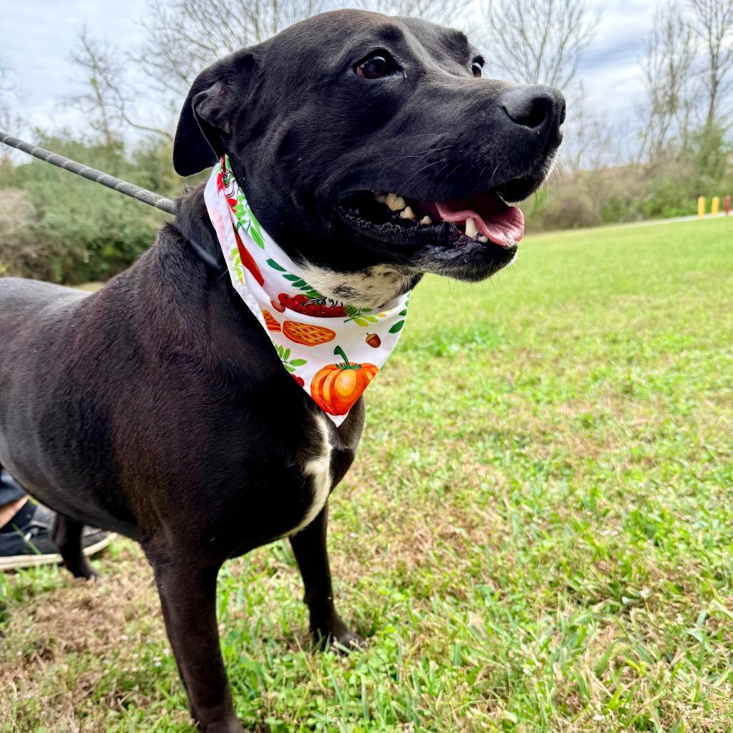 Mercedes — thumbnail 6