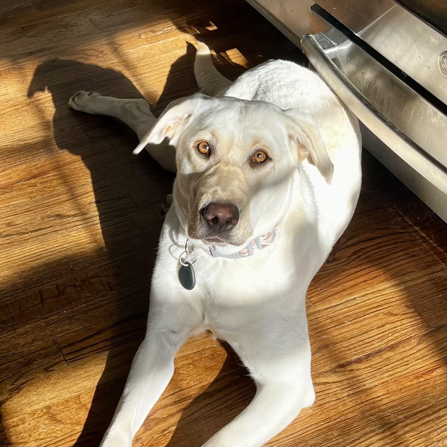 Platform — thumbnail 2