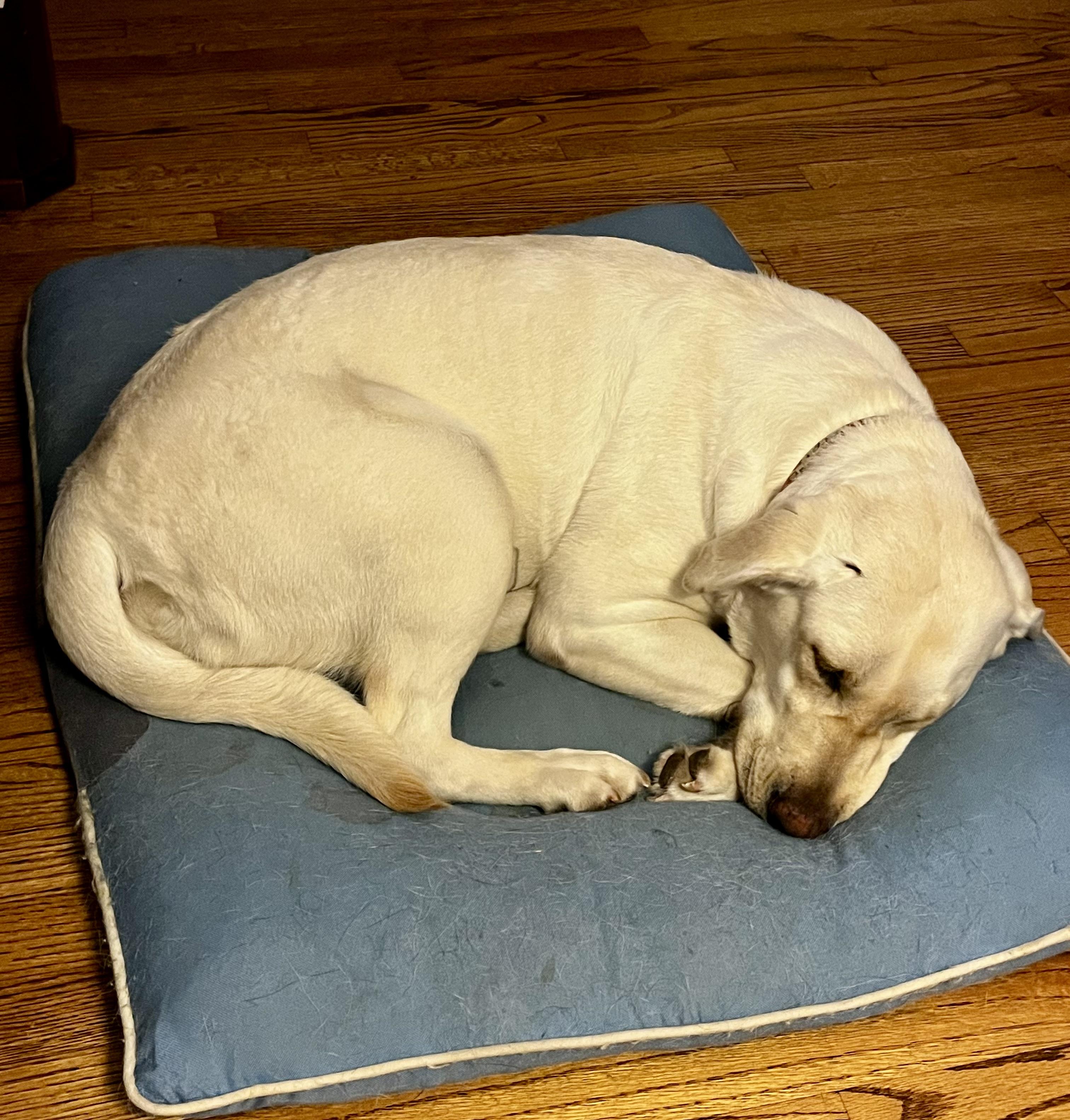 Platform — thumbnail 4