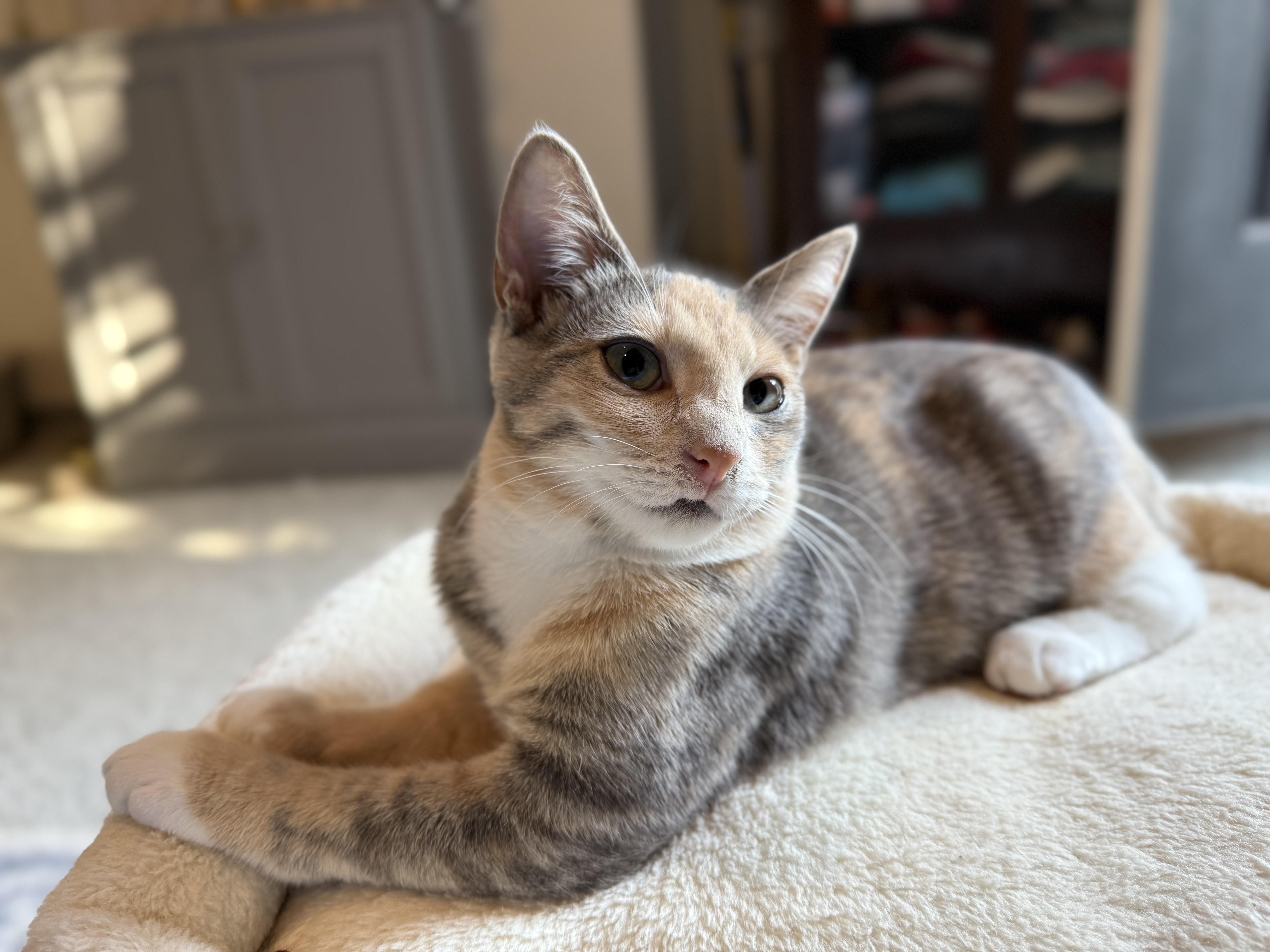 Hope - BFF's with Hannah