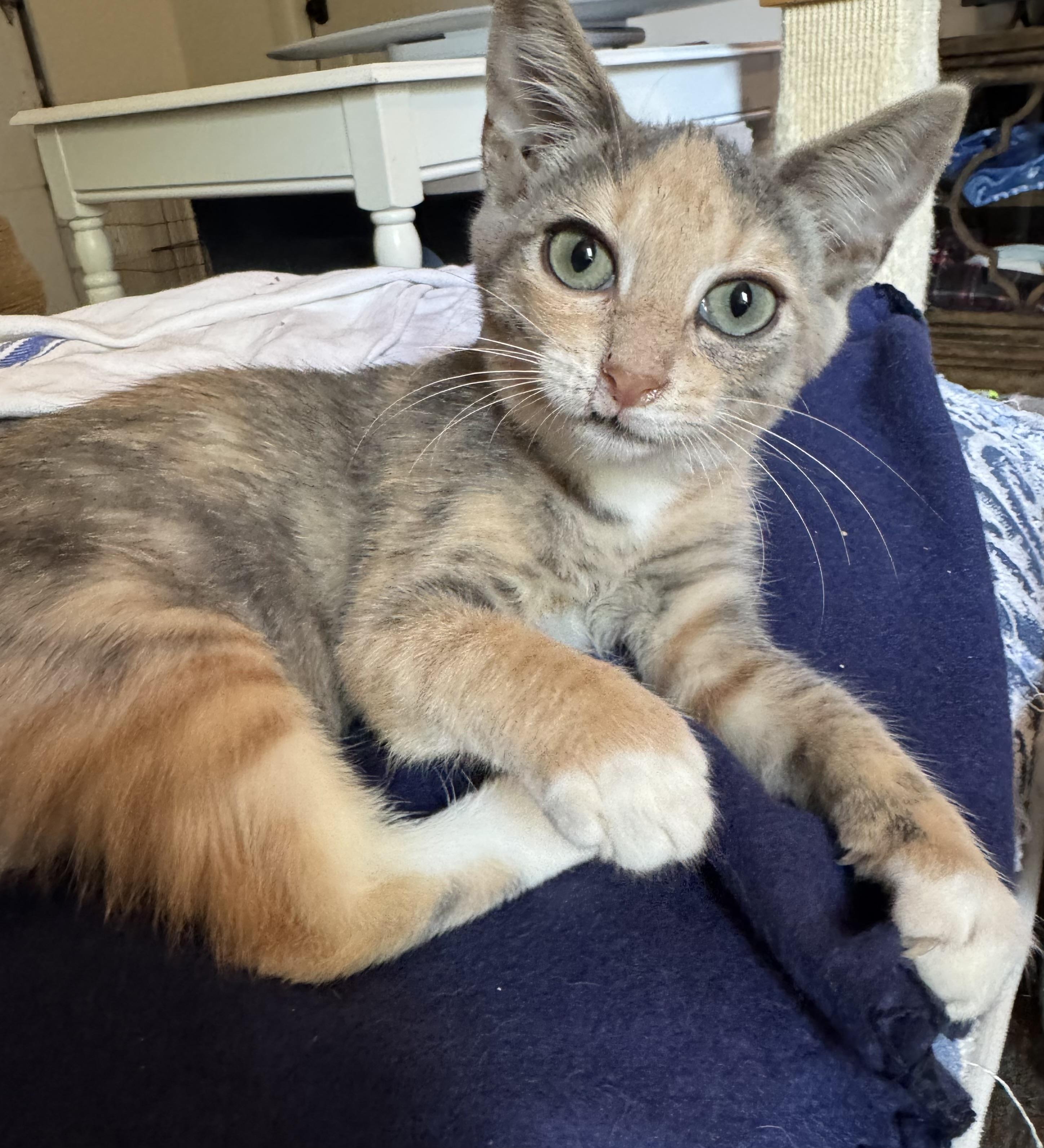 Hope - BFF's with Hannah