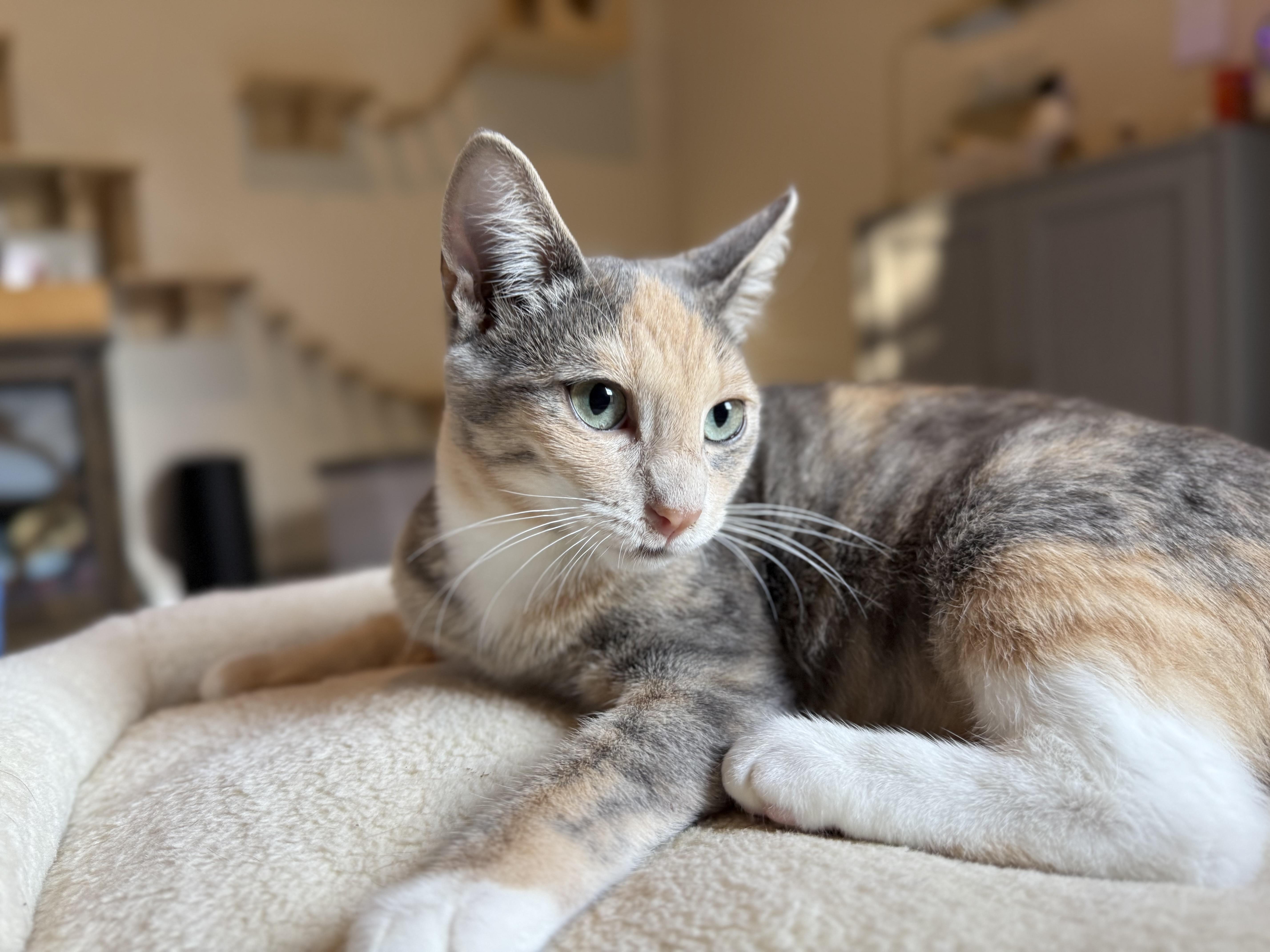 Hope - BFF's with Hannah