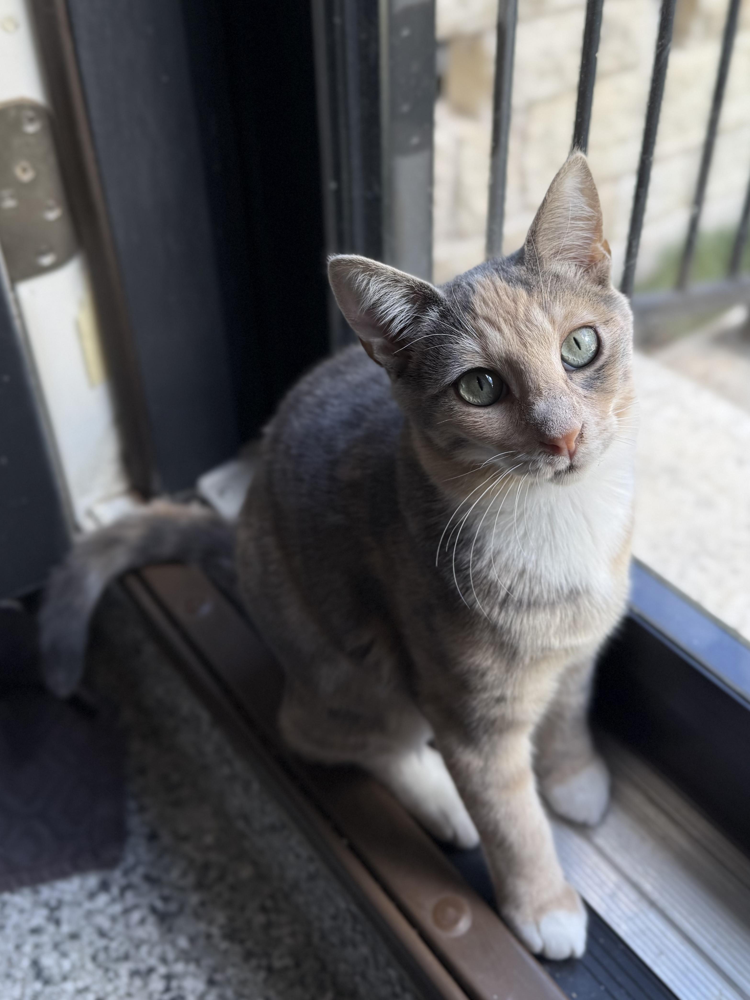 Hope - BFF's with Hannah