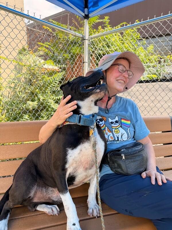 Enlarge Gunter, a Adoptable Mixed Breed in Miamitown, OH image 3/4
