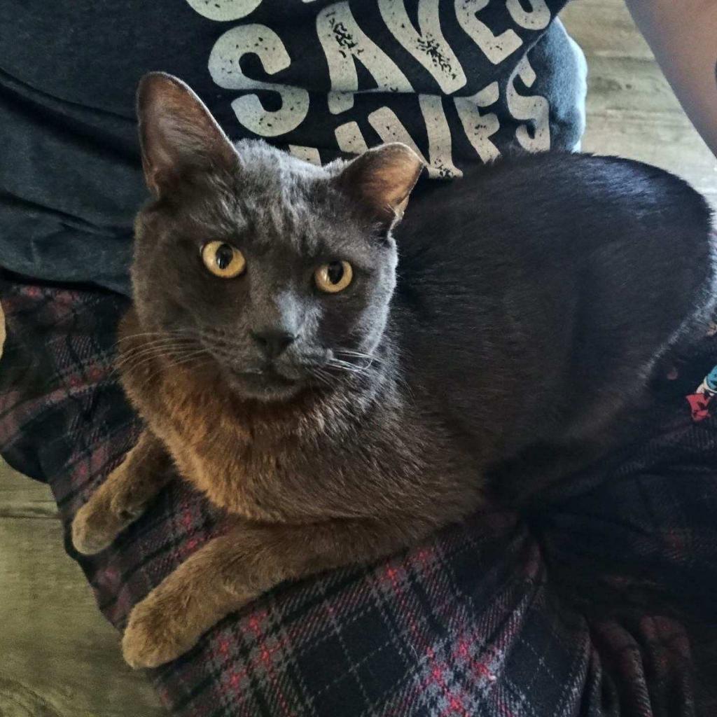 Billy Pilgrim — thumbnail 2