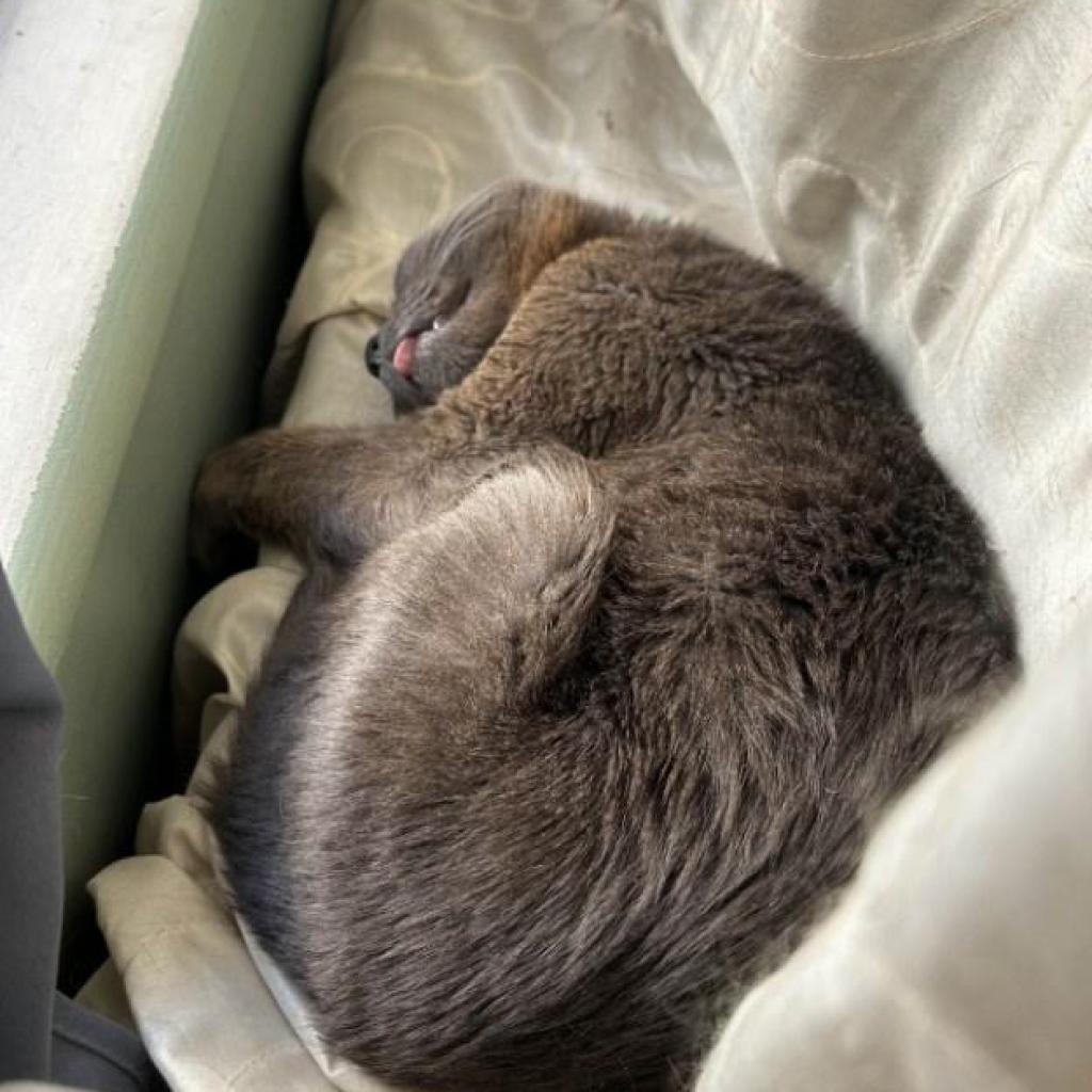 Billy Pilgrim — thumbnail 4