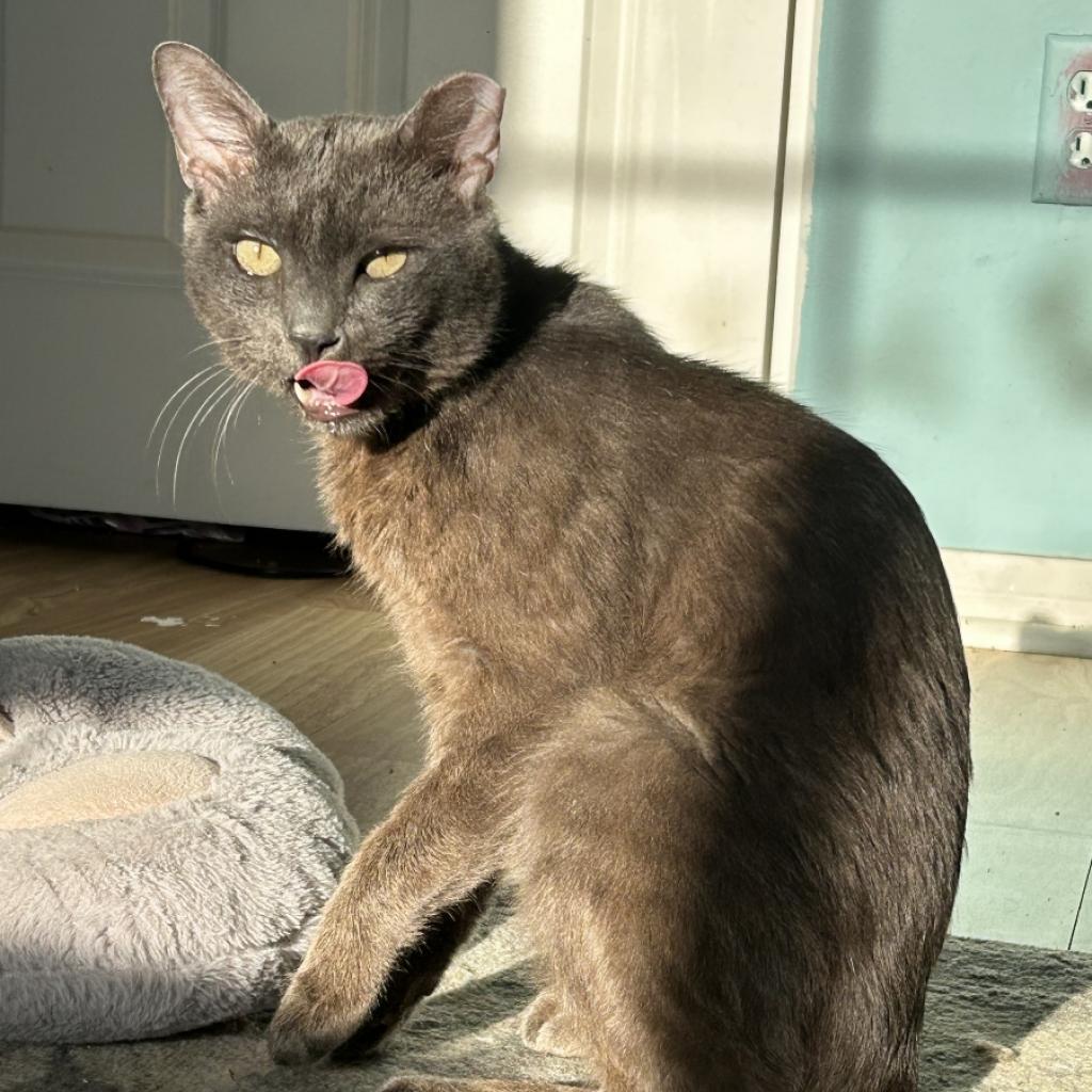 Billy Pilgrim — thumbnail 5