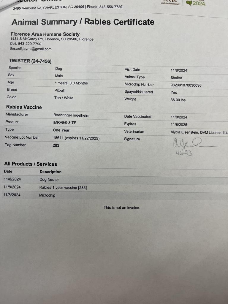 TWISTER, a Adoptable mixed breed in Florence, SC image 1/6