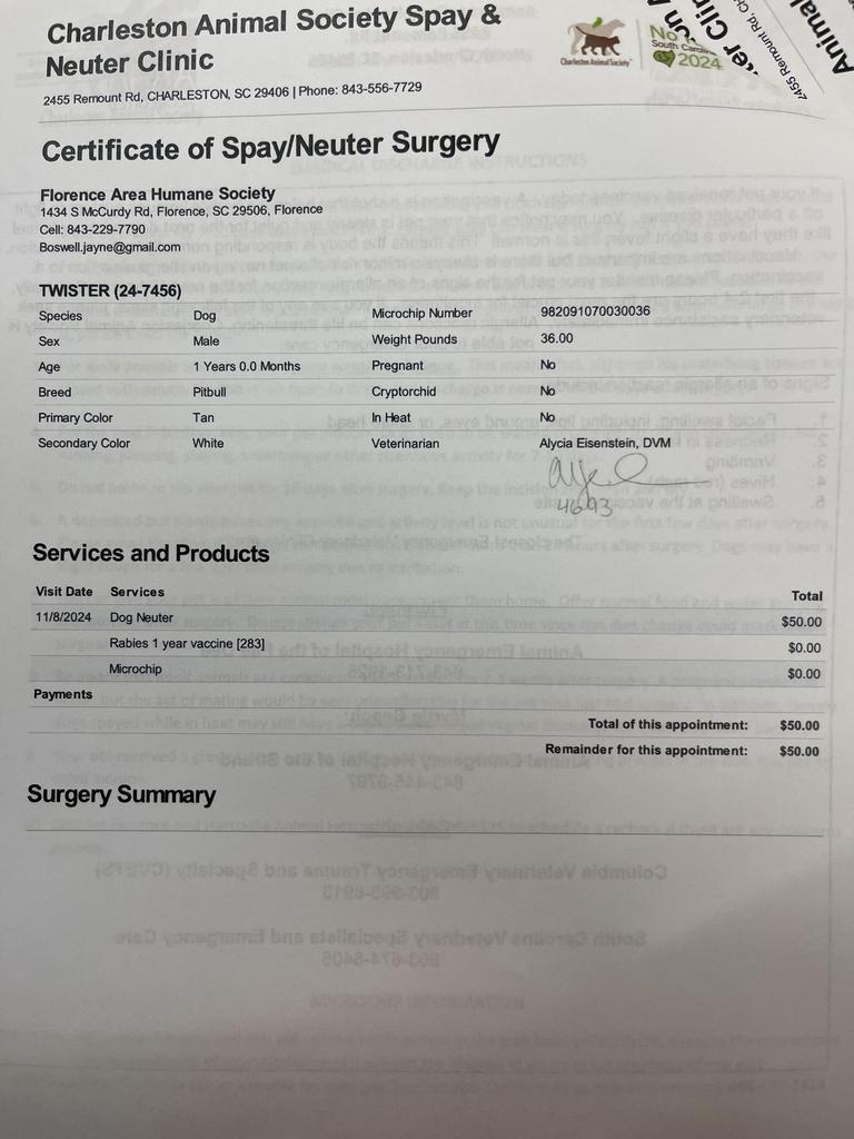 TWISTER, a Adoptable mixed breed in Florence, SC image 3/6