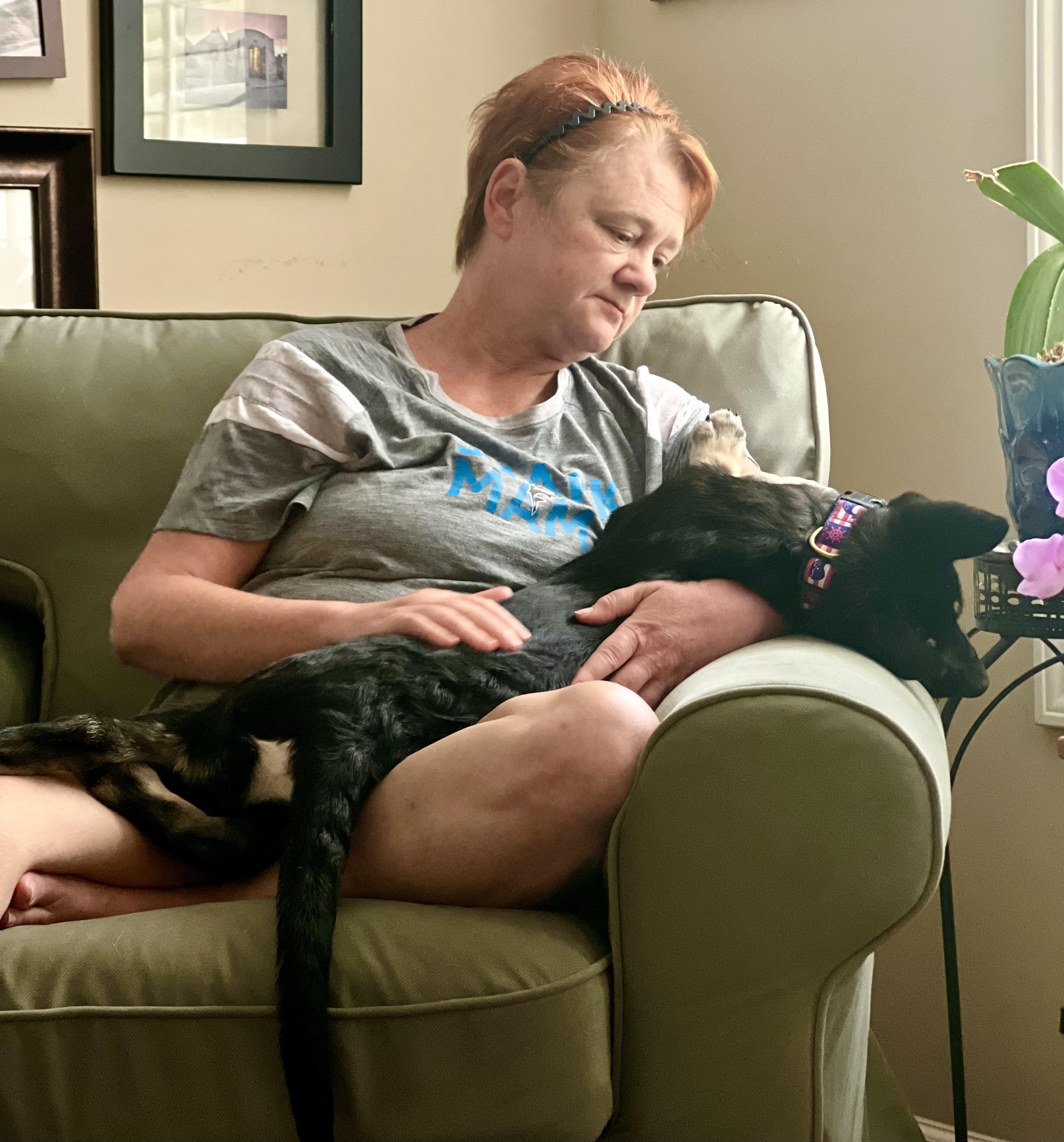 Johnny, a ADOPTABLE mixed breed in Mt Pleasant, SC image 6/6