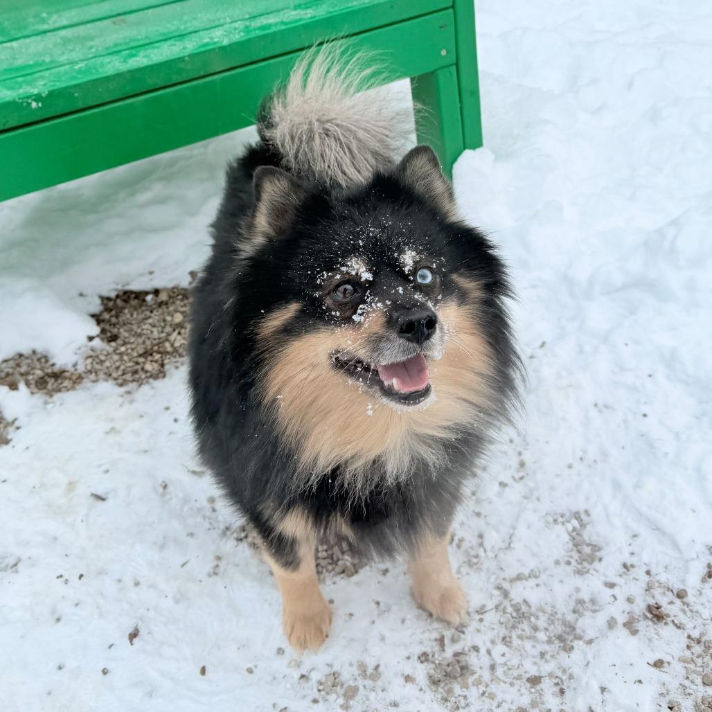 Corndog — thumbnail 6