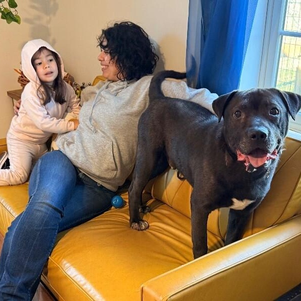 Tom Jones the Squishy Faced Snuggle King — thumbnail 3