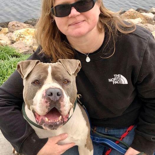 Enlarge STEVIE, a Adoptable mixed breed in Thousand Oaks, CA image 10/13