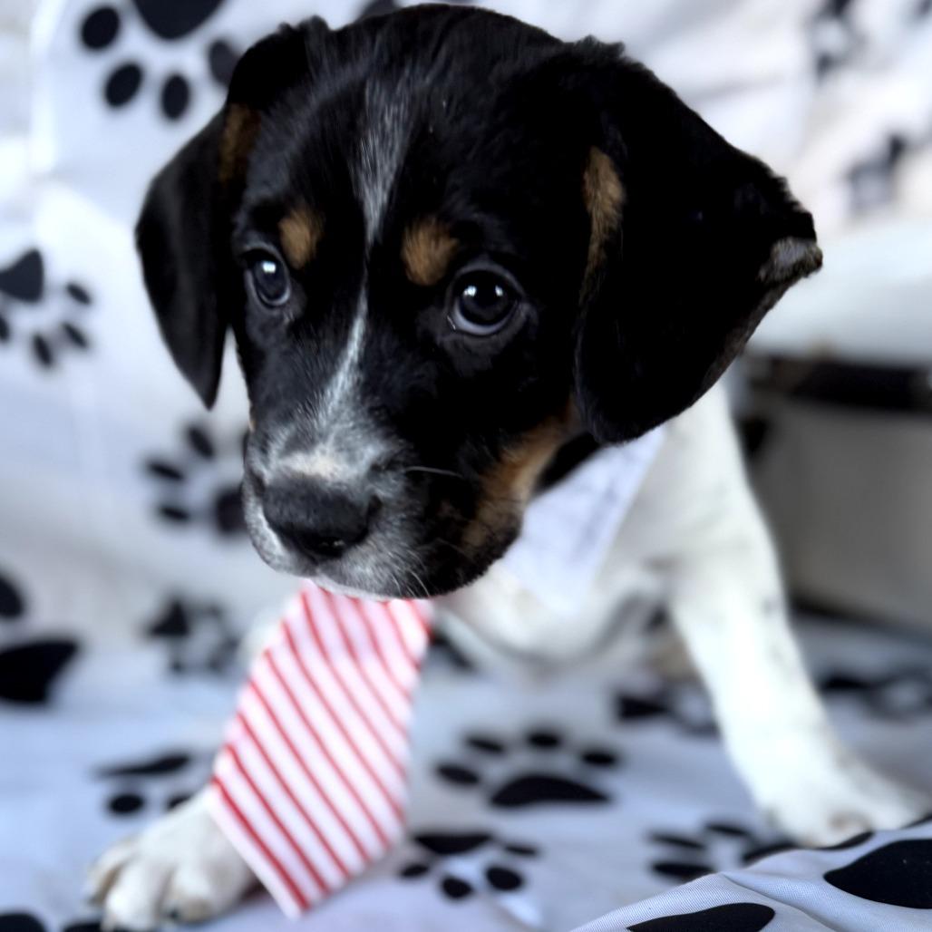 Nate 22376 — thumbnail 2