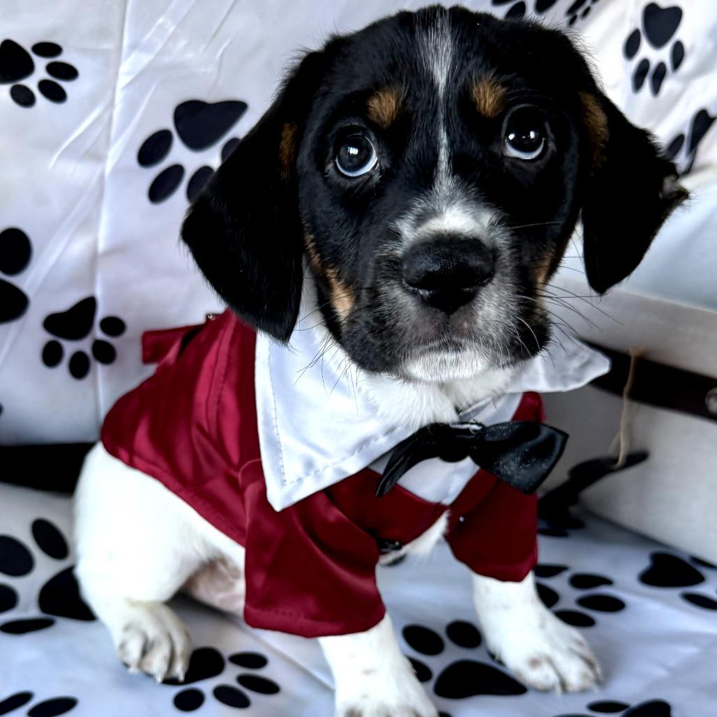 Nate 22376 — thumbnail 3