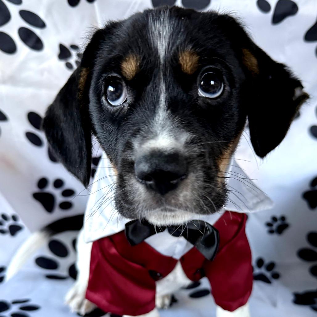 Nate 22376 — thumbnail 4