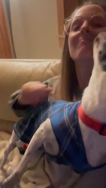 Enlarge Harley , a Adoptable Mixed Breed in Argyle, NY video 5/6