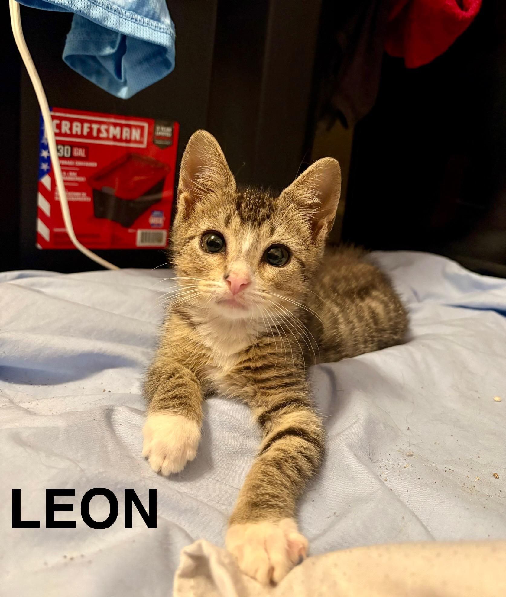 Leon