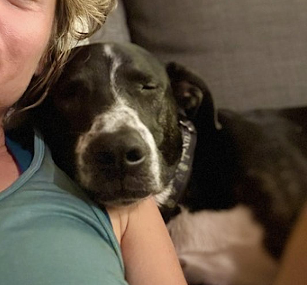 Django — thumbnail 3