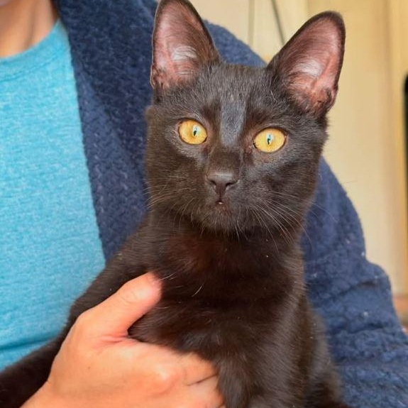 Salem