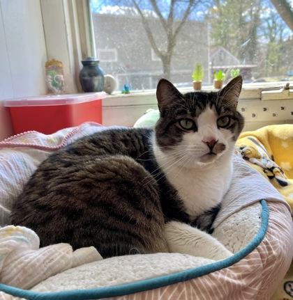 Ramone Albus — thumbnail 3