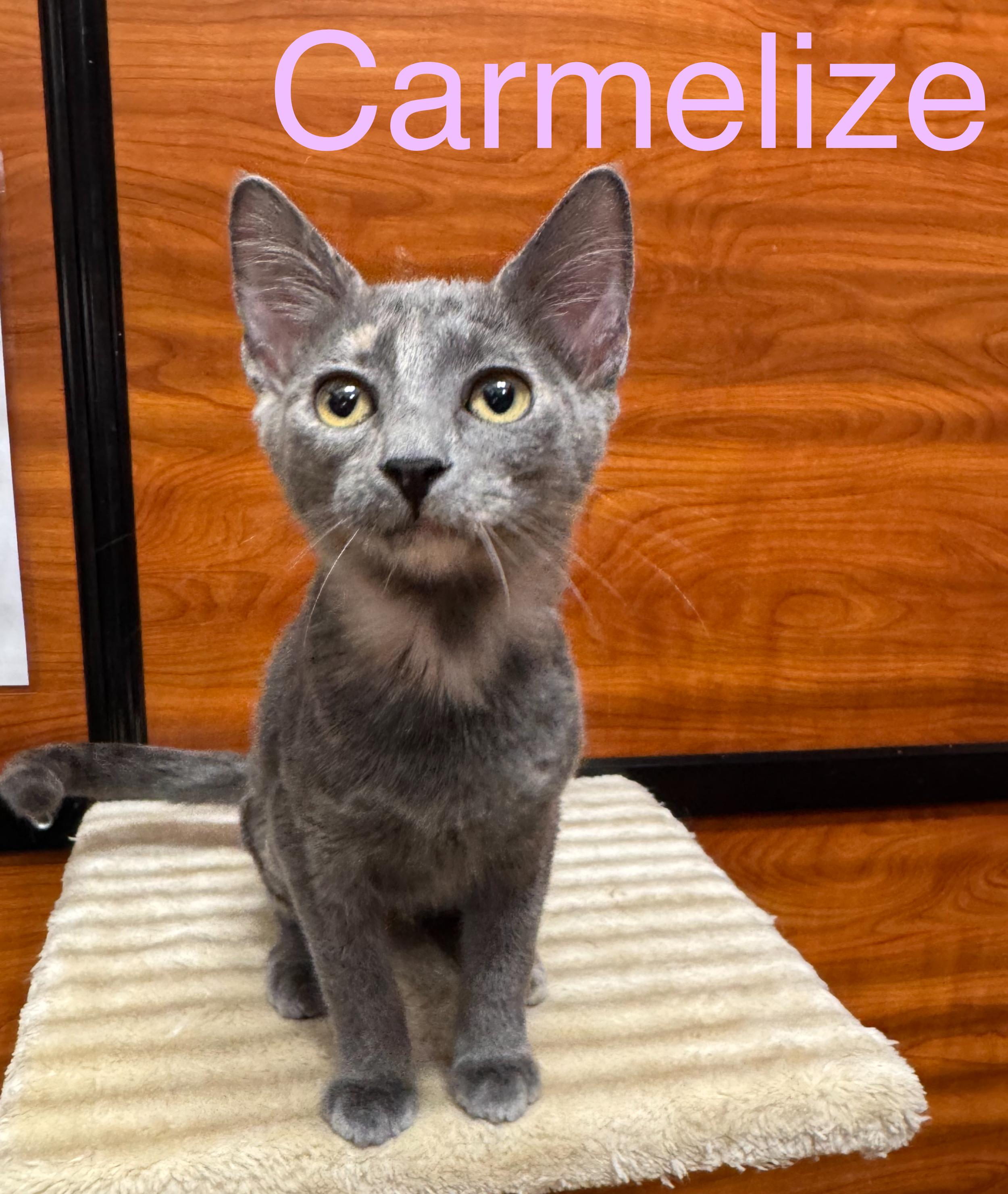 Carmelize