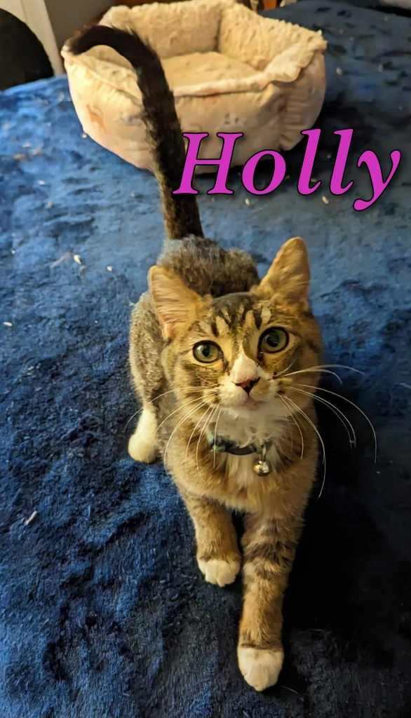 Holly photo 2