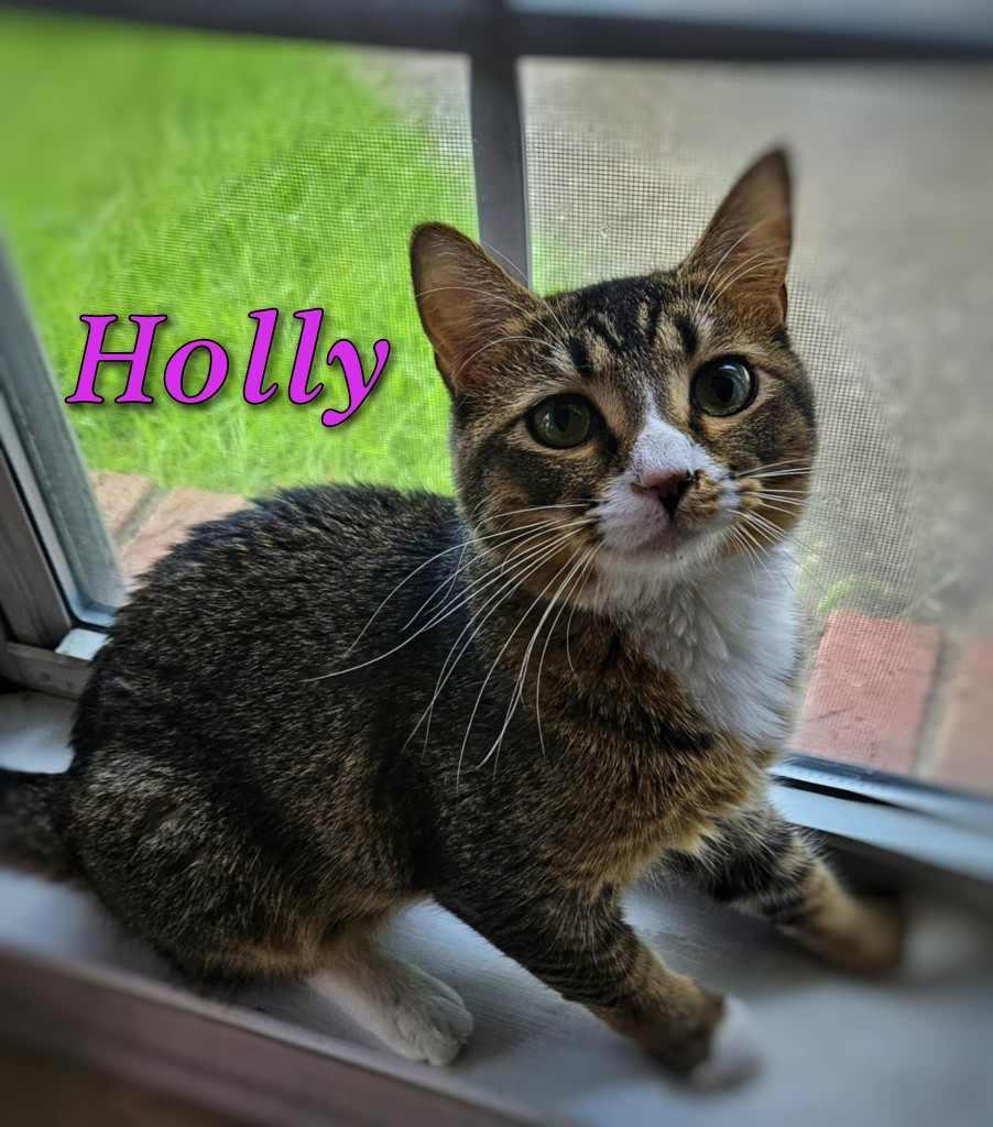 Holly photo 1