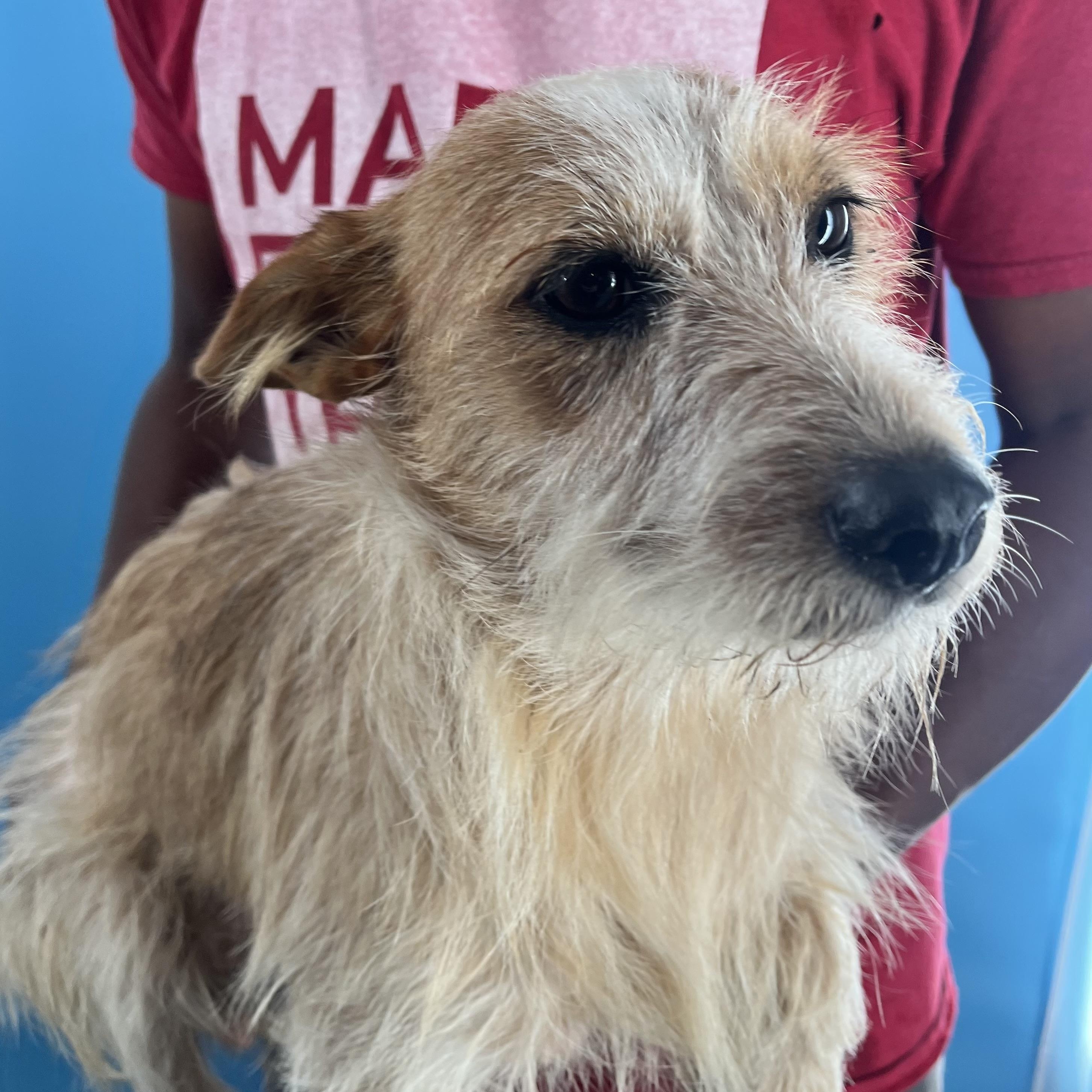 Bingo - Local Sept 26-28