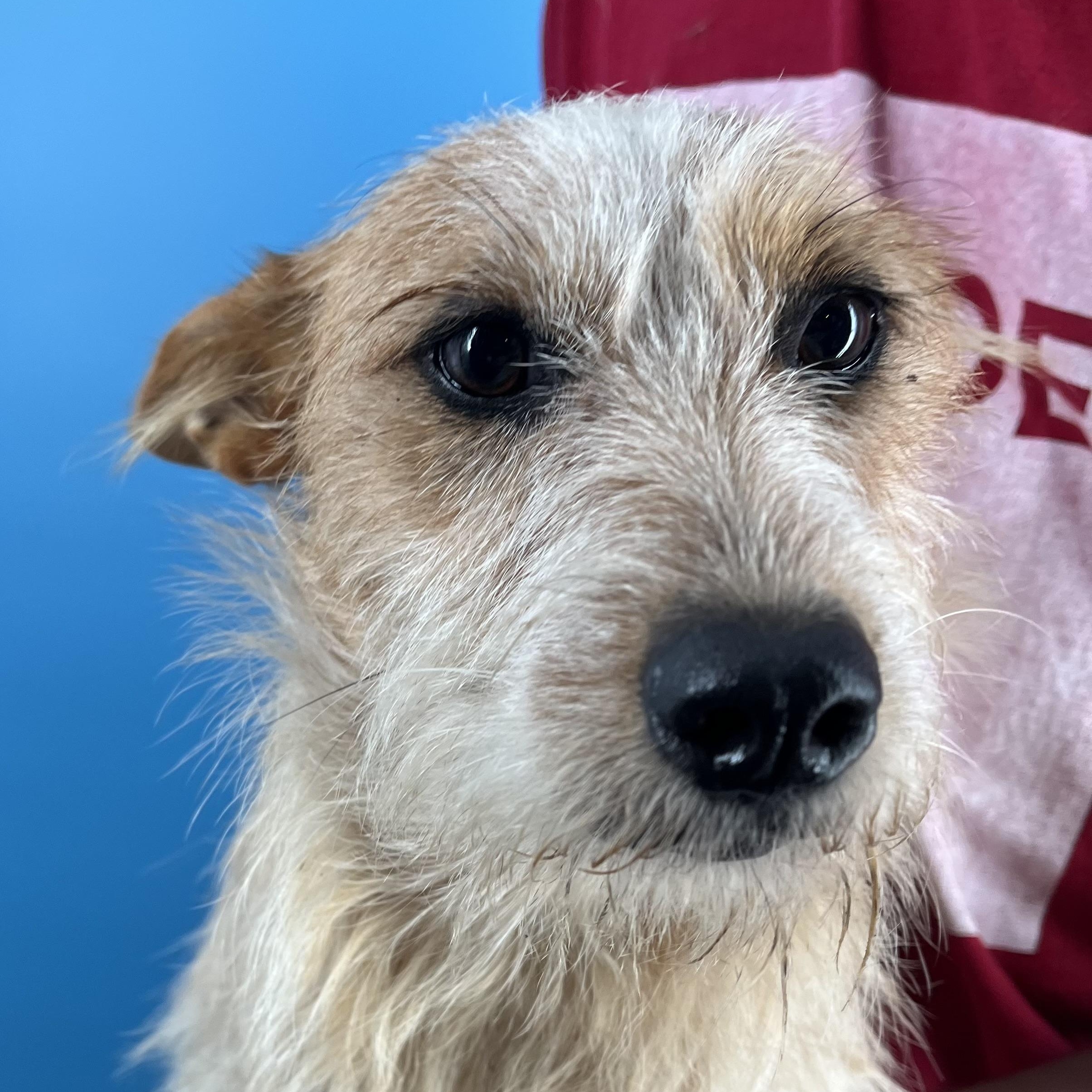 Bingo - Local Sept 26-28