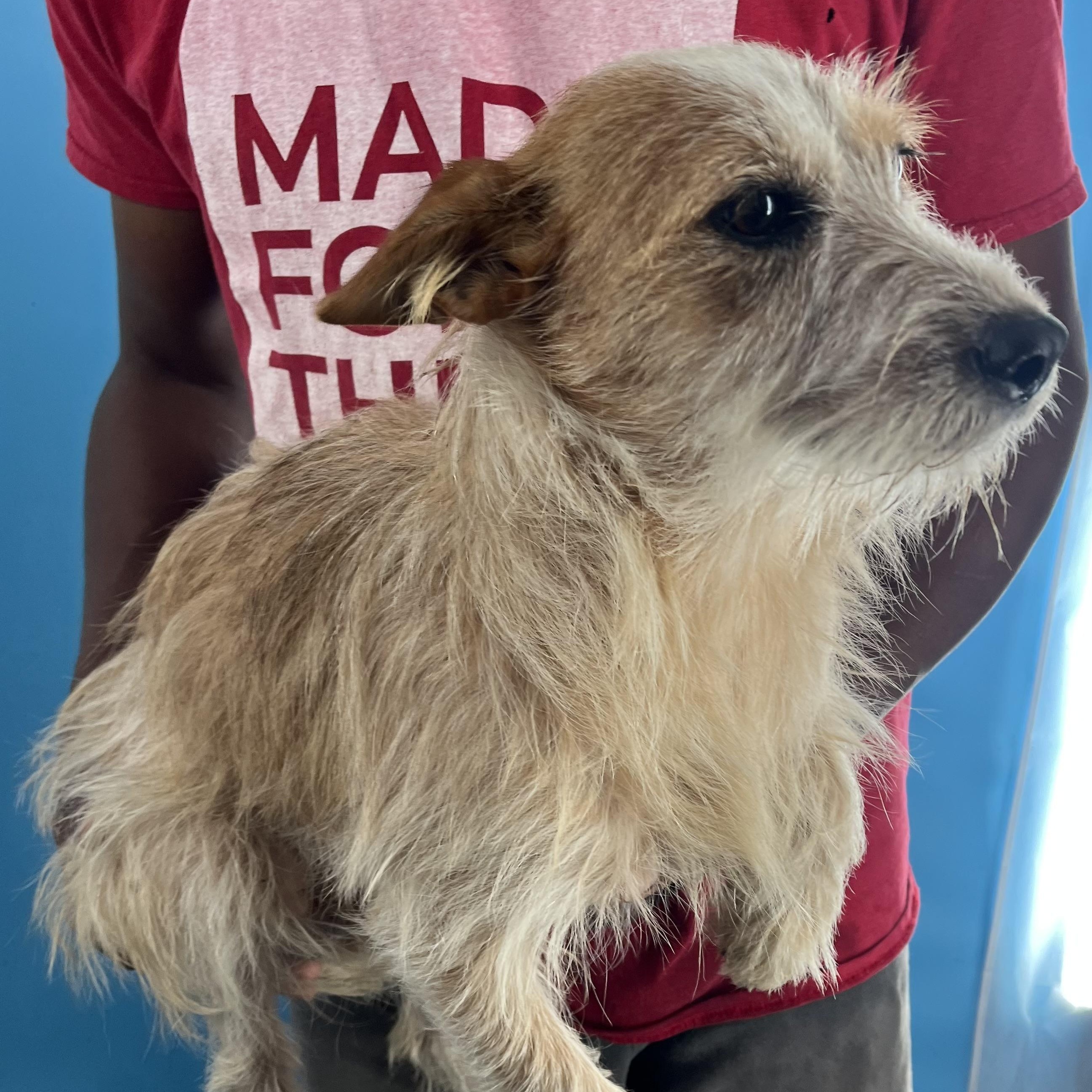 Bingo - Local Sept 26-28