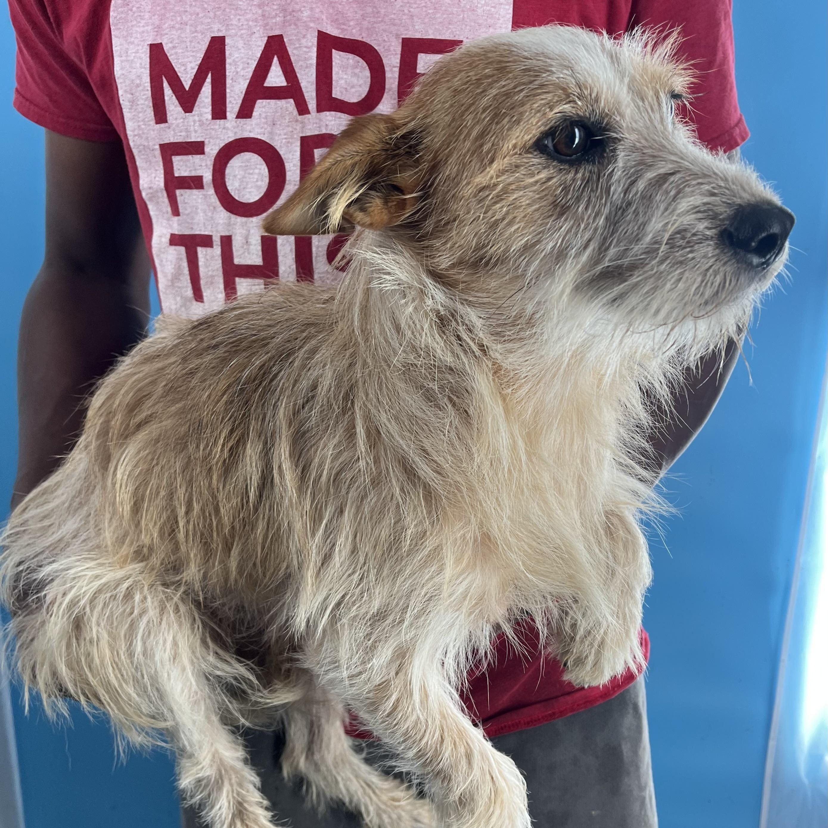 Bingo - Local Sept 26-28