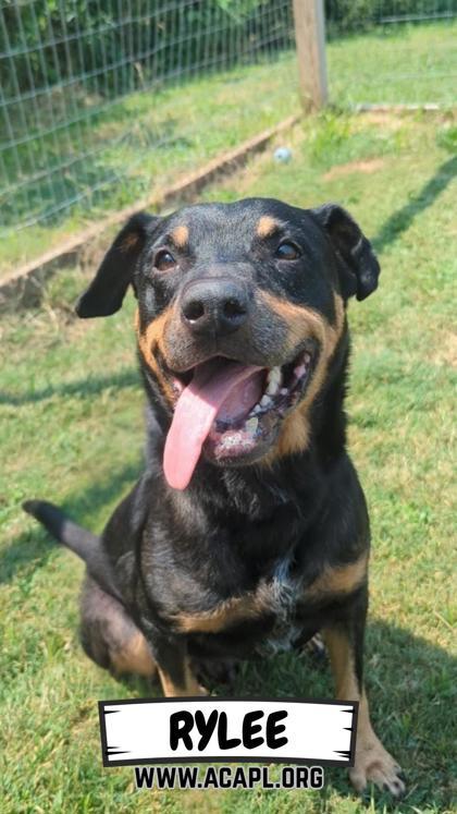 Rylee — thumbnail 2