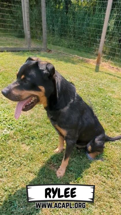 Rylee — thumbnail 3