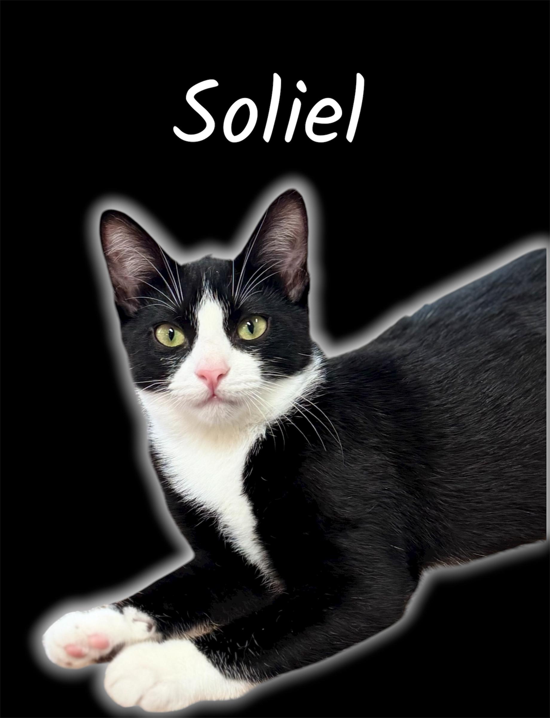 Soliel