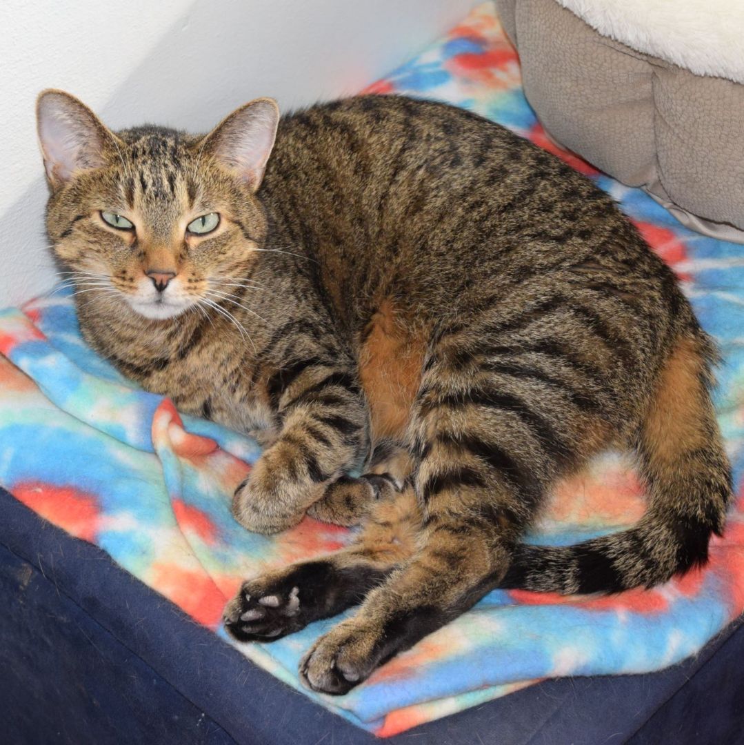 Maia & Jasper  thumbnail 3