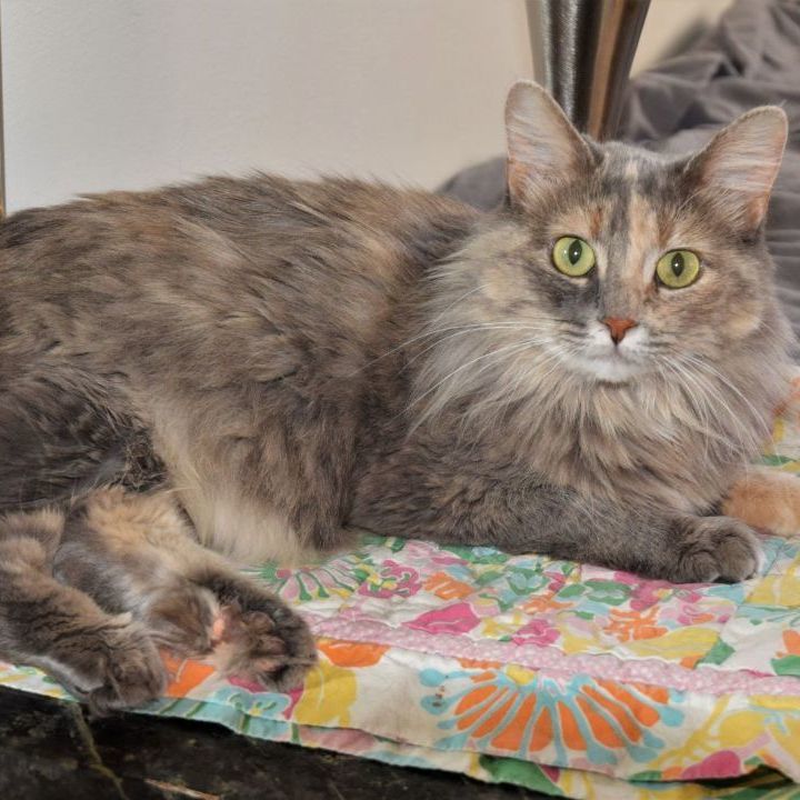 Maia & Jasper  thumbnail 2