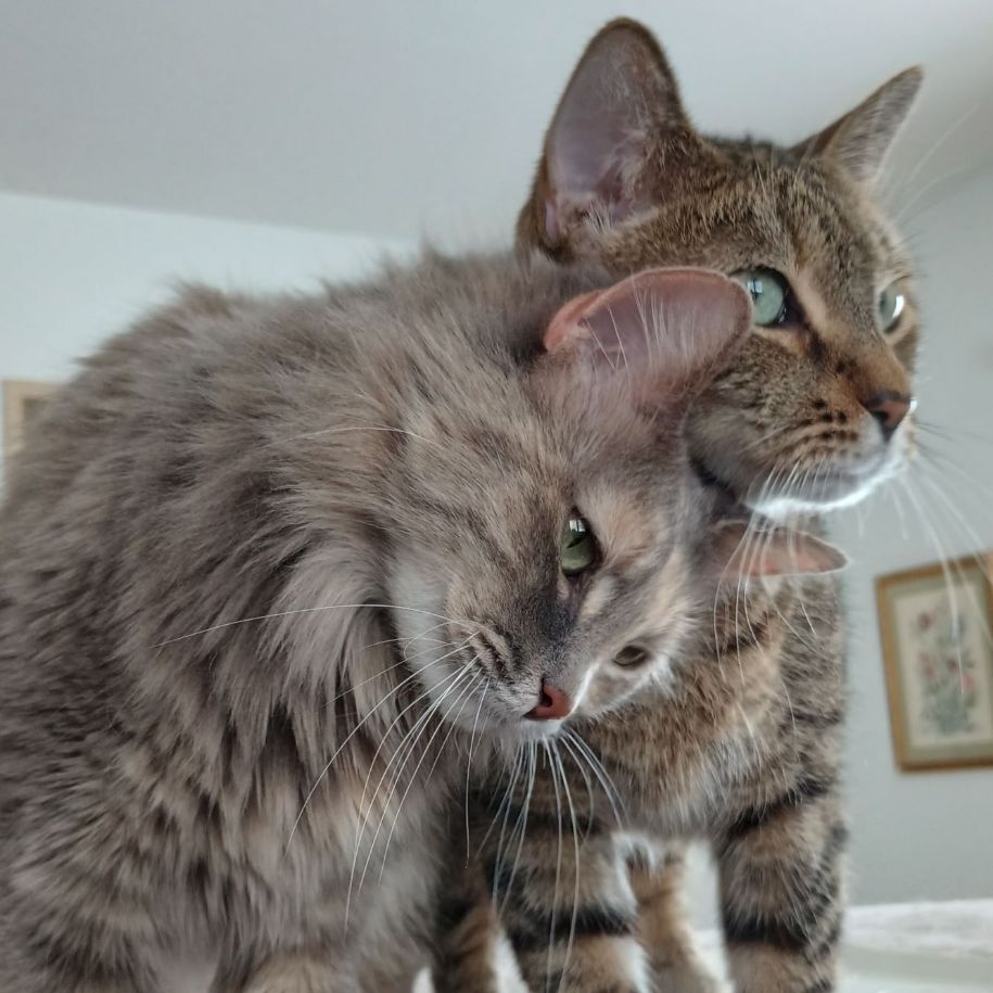 Maia & Jasper