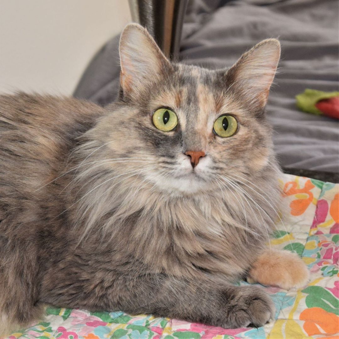 Maia & Jasper  thumbnail 4