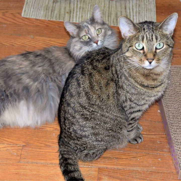 Maia & Jasper  thumbnail 5