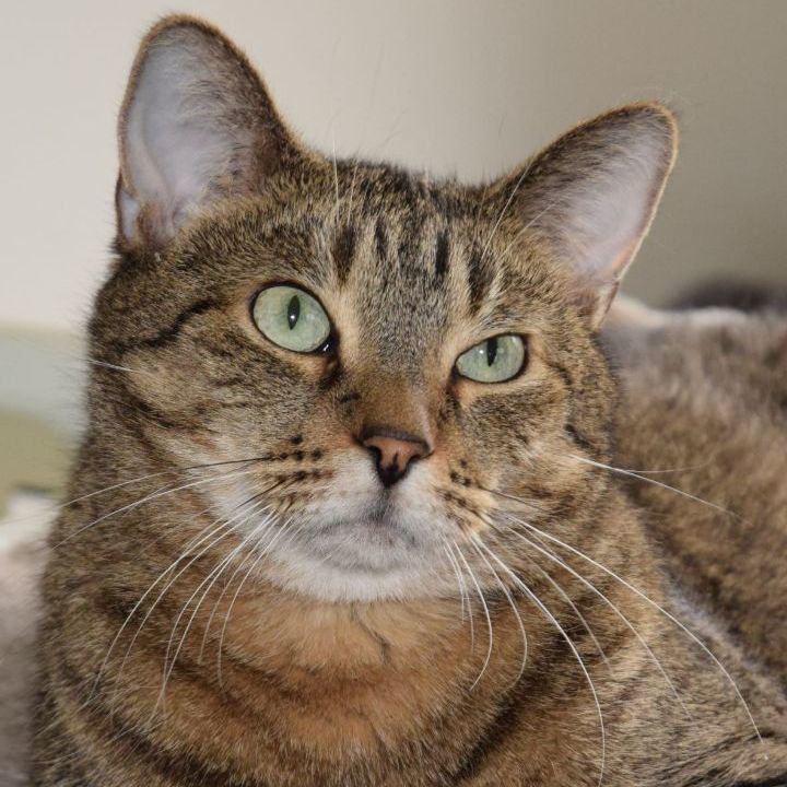 Maia & Jasper  thumbnail 6