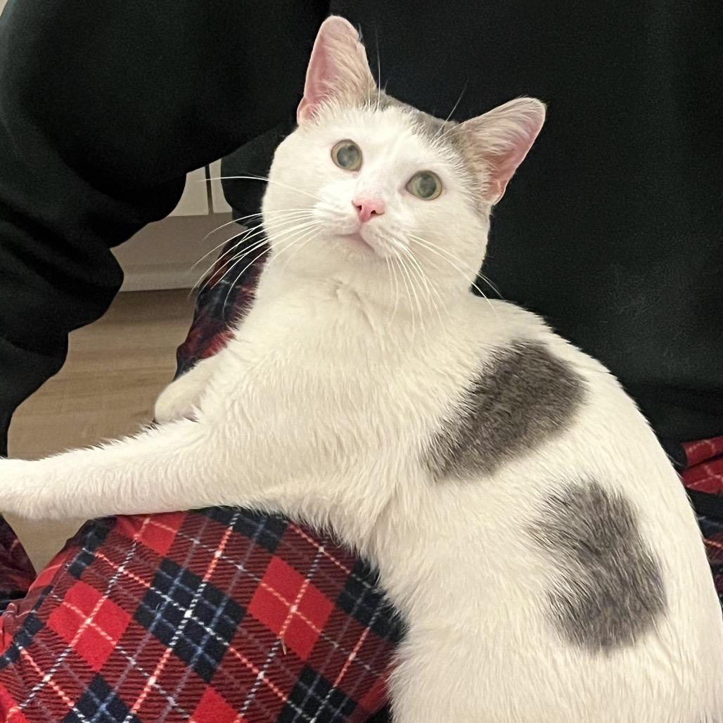 Wonka — thumbnail 3