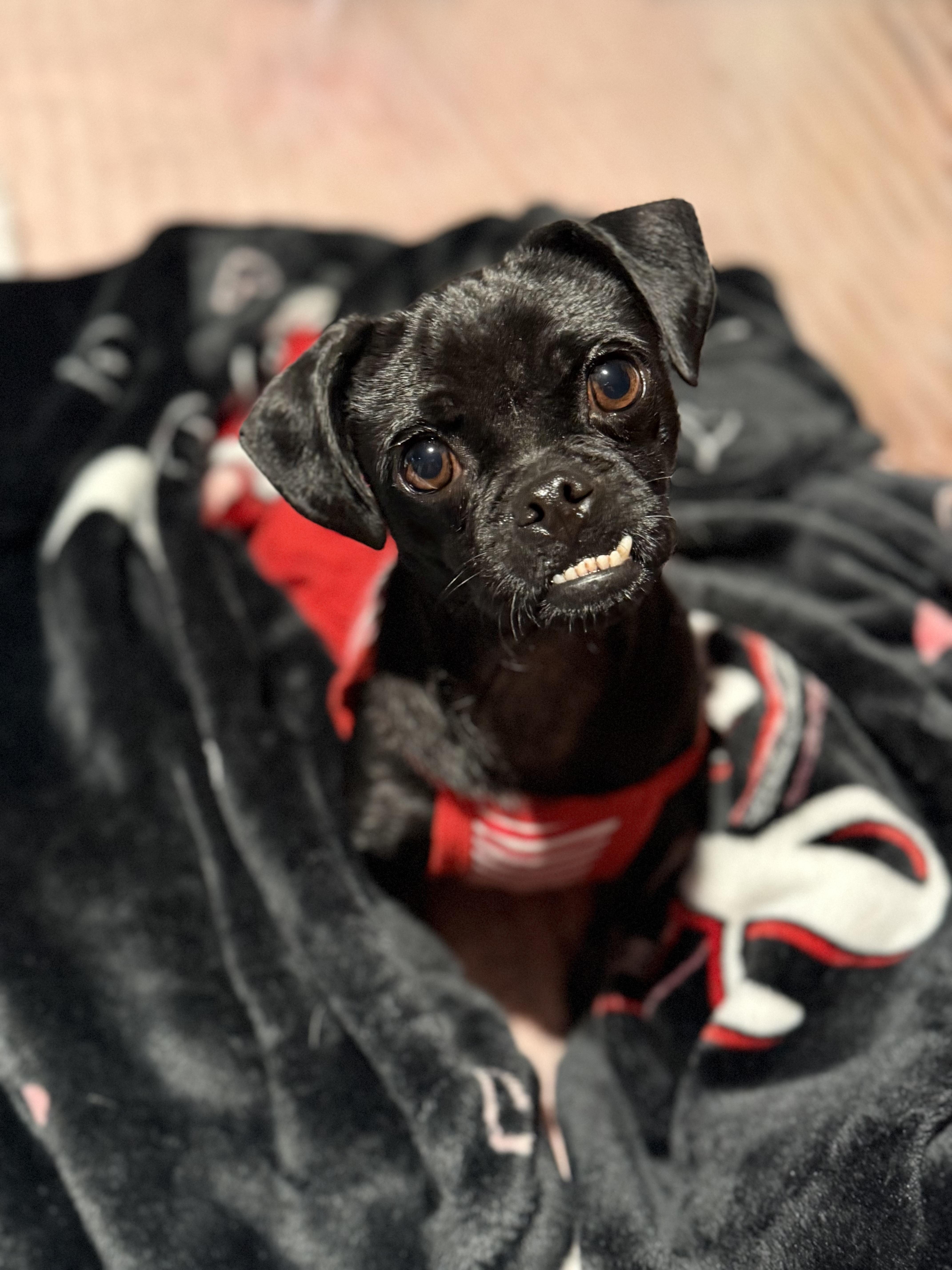 Suzie