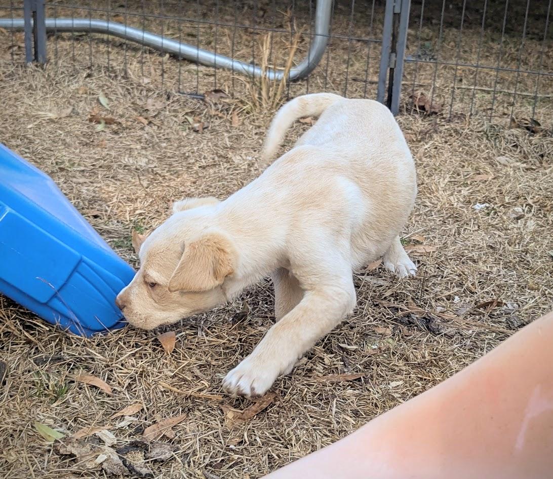 SUNNY — thumbnail 3