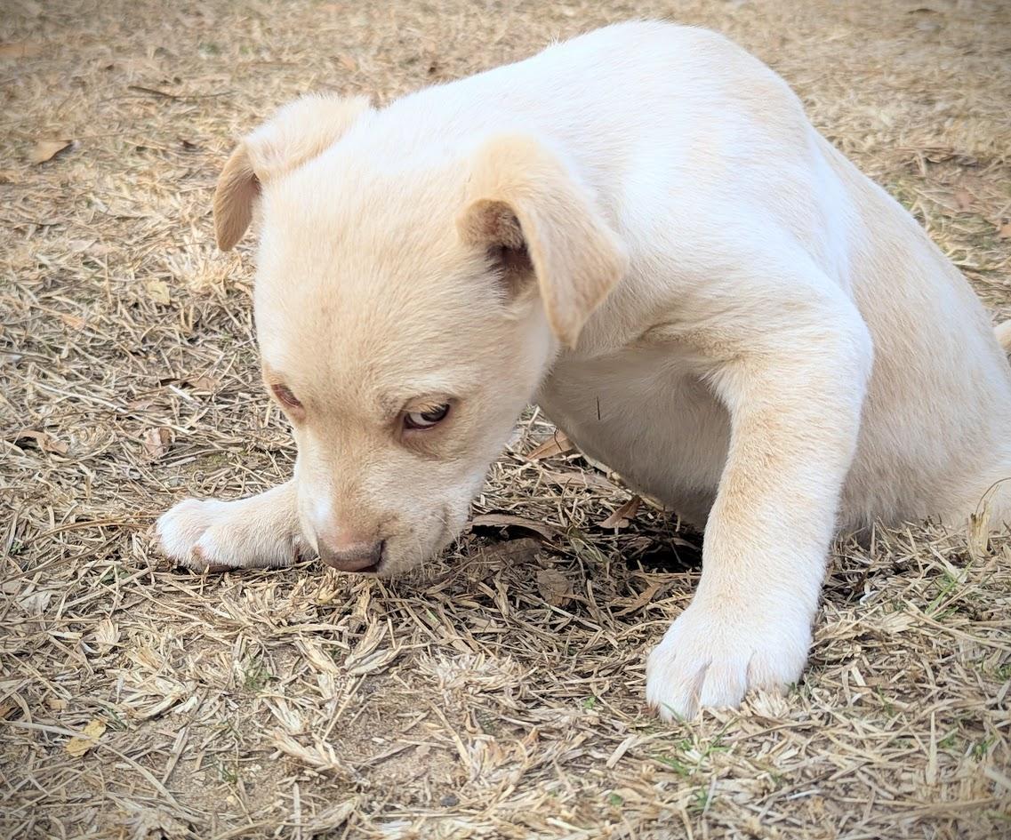 SUNNY — thumbnail 5