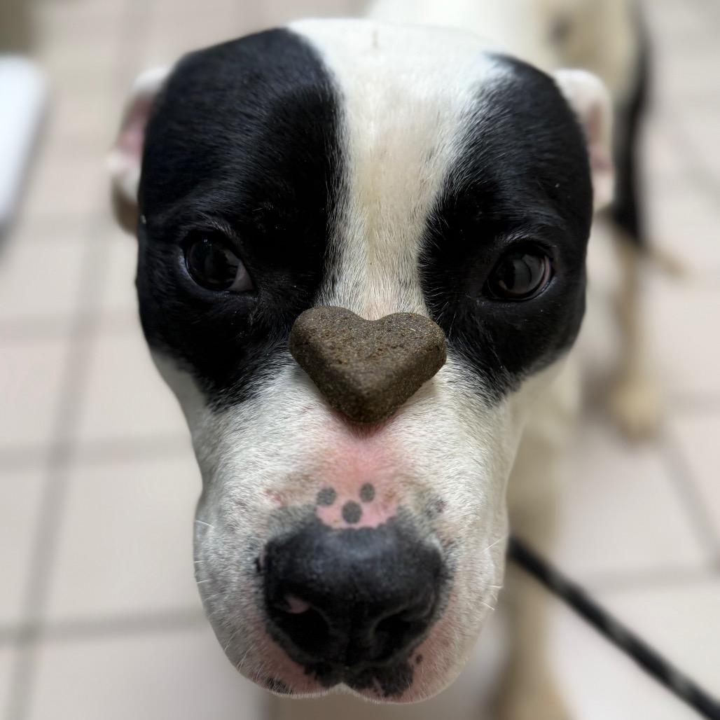 Frazier — thumbnail 2